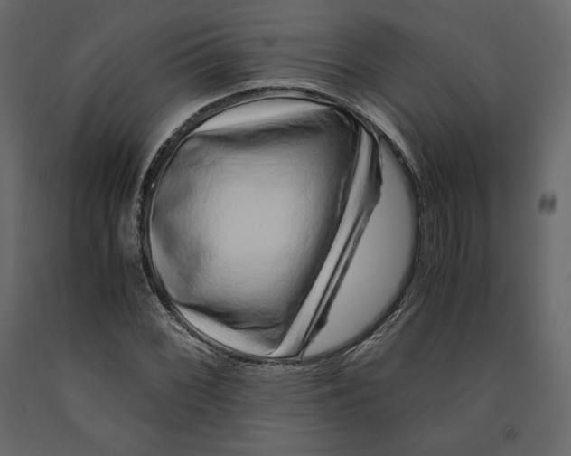 X0000090901068200708270939