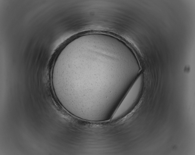 X0000090901070200708270939