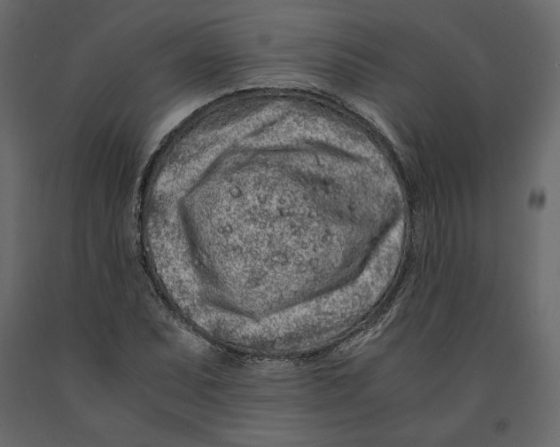 X0000090901071200708270939