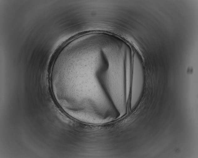 X0000090901072200708270939