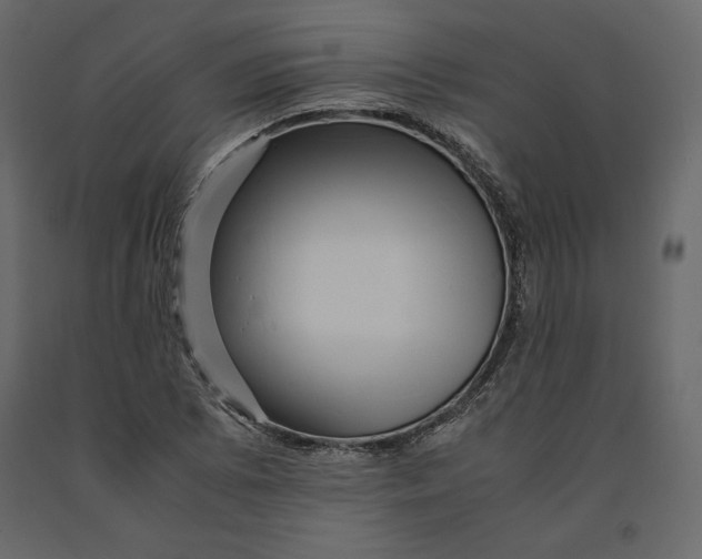 X0000090901073200708270939