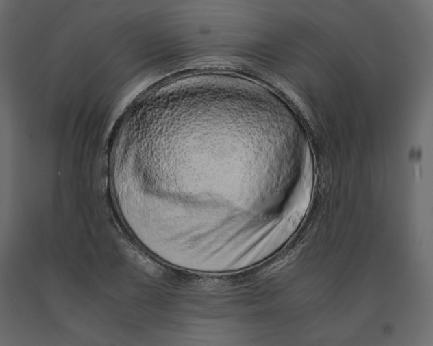 X0000090901075200708270939