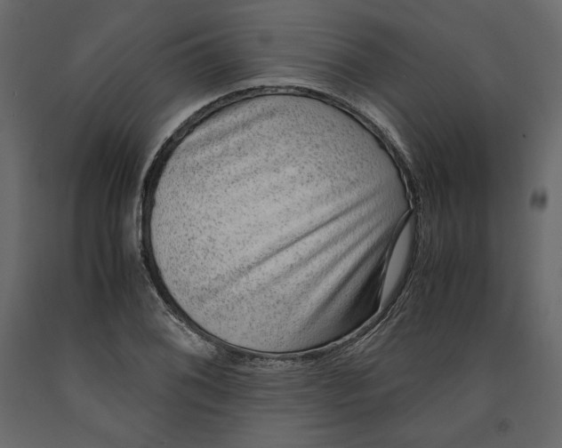 X0000090901076200708270939