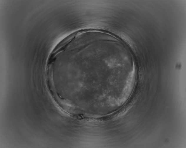 X0000090901077200708270939