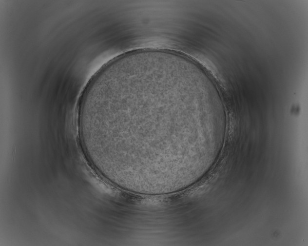 X0000090901078200708270939