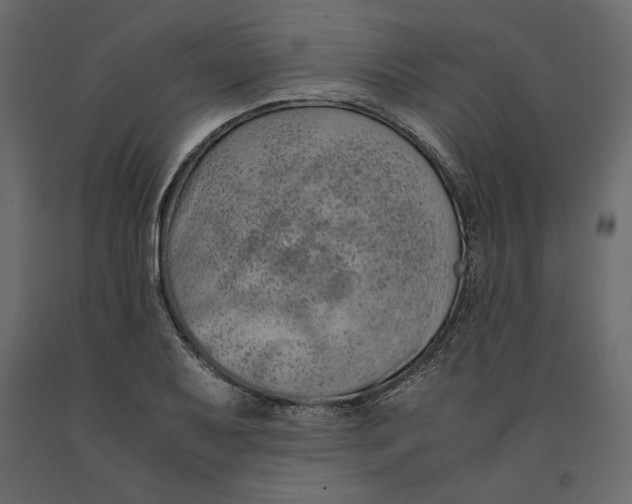 X0000090901079200708270939