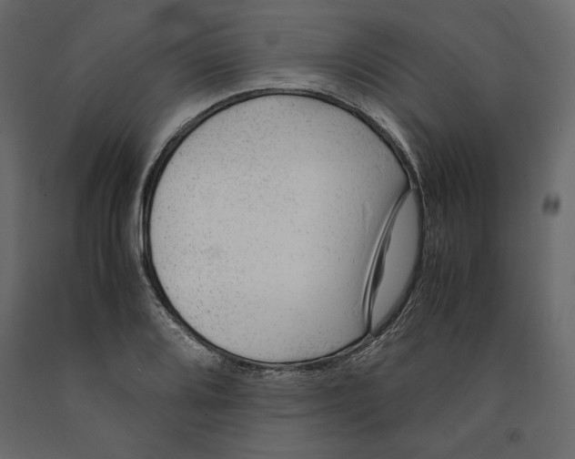 X0000090901080200708270939