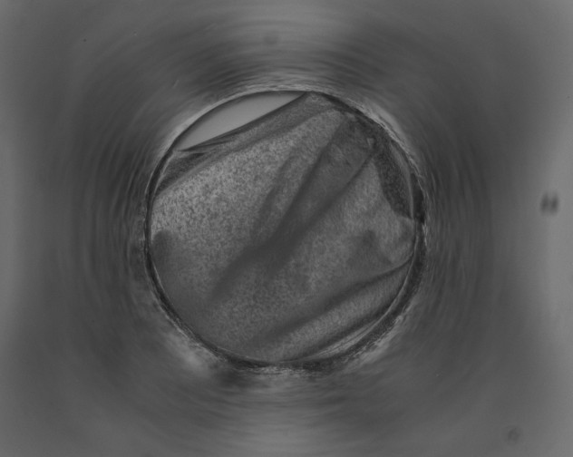 X0000090901081200708270939
