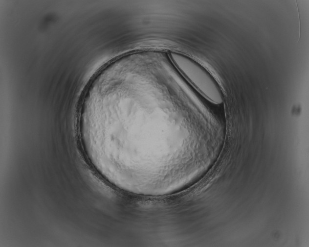 X0000090901083200708270939