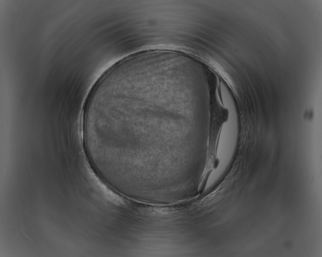X0000090901084200708270939