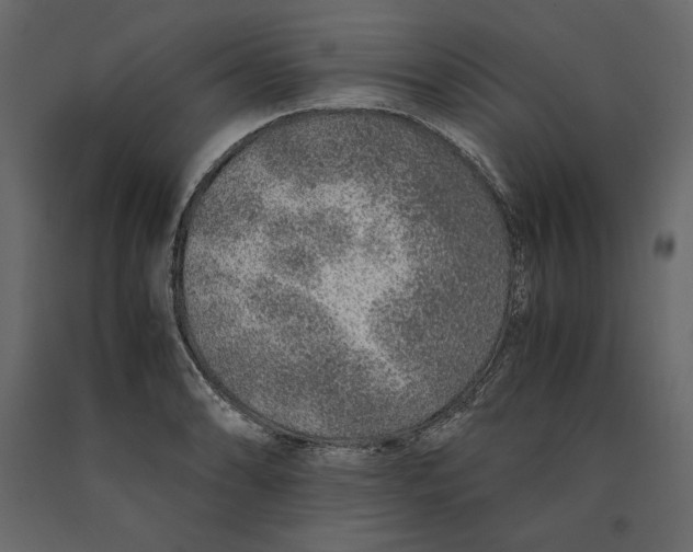 X0000090901086200708270939