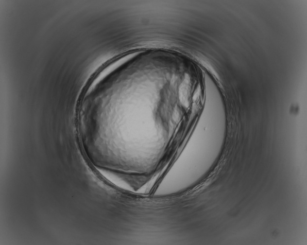 X0000090901087200708270939