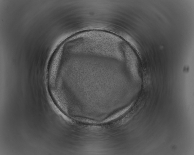 X0000090901088200708270939