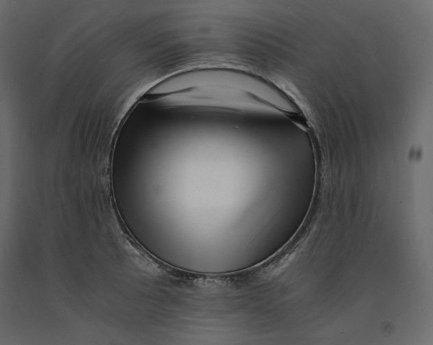 X0000090901089200708270939