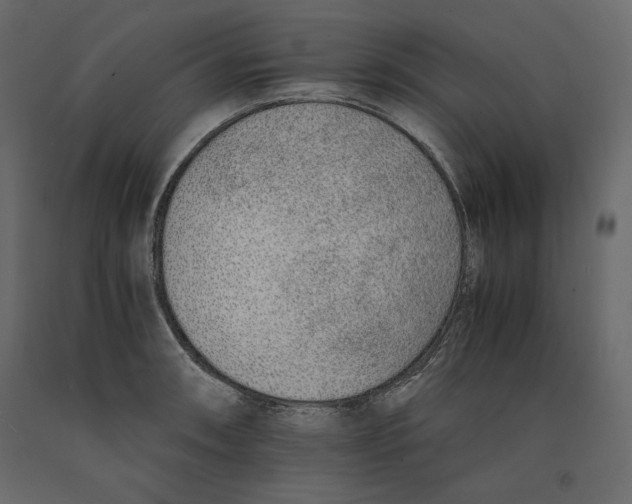 X0000090901090200708270939