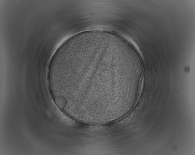 X0000090901091200708270939