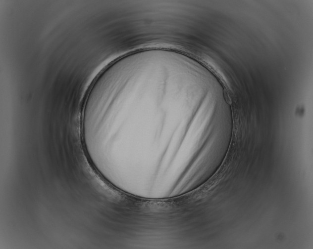 X0000090901092200708270939