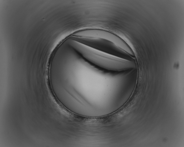 X0000090901093200708270939