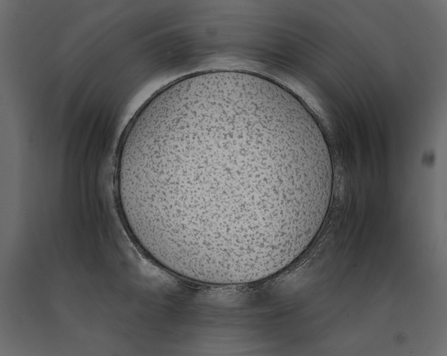 X0000090901094200708270939