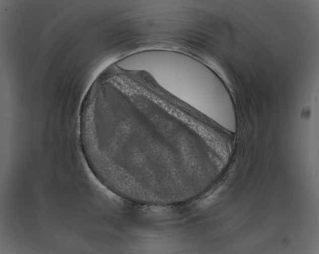 X0000090901095200708270939