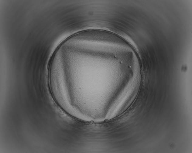 X0000090901096200708270939