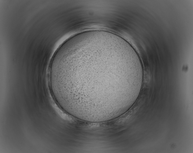 X0000090901098200708270939
