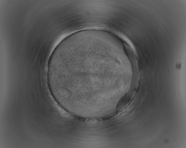 X0000090901099200708270939