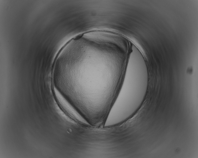 X0000090901100200708270939