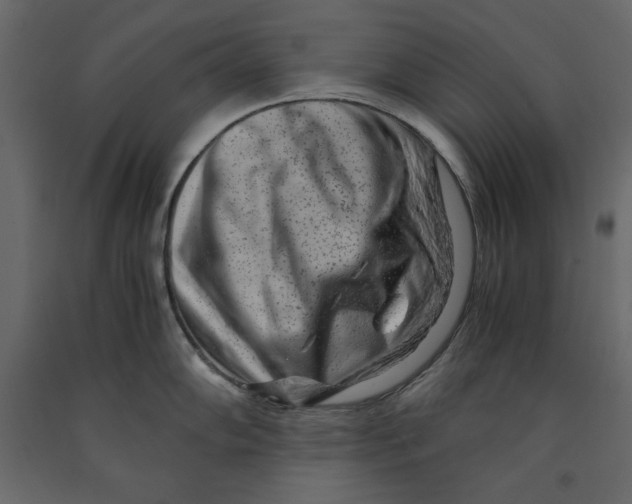 X0000090901102200708270938