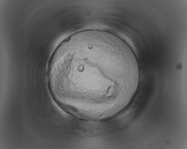 X0000090901103200708270938