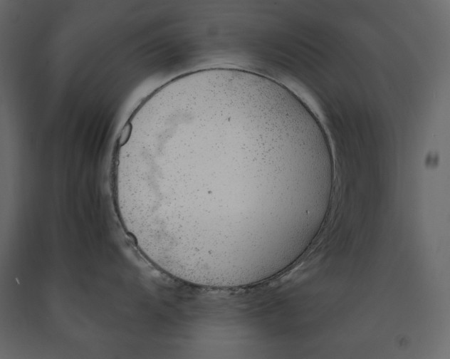 X0000090901104200708270938