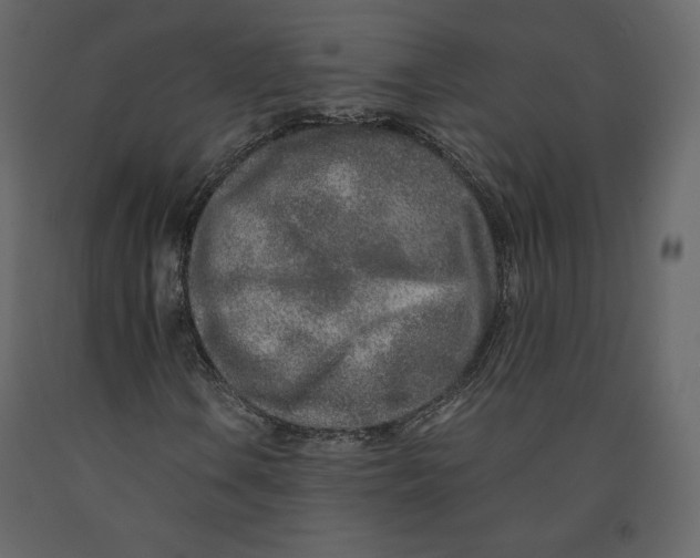 X0000090901106200708270938