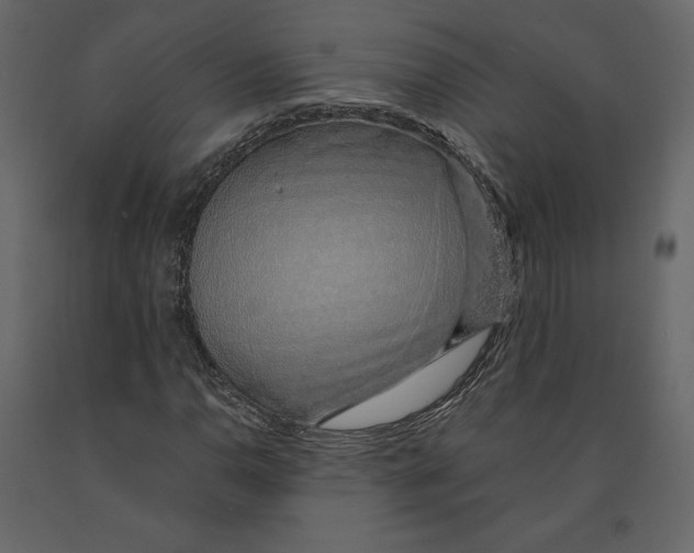 X0000090901110200708270938