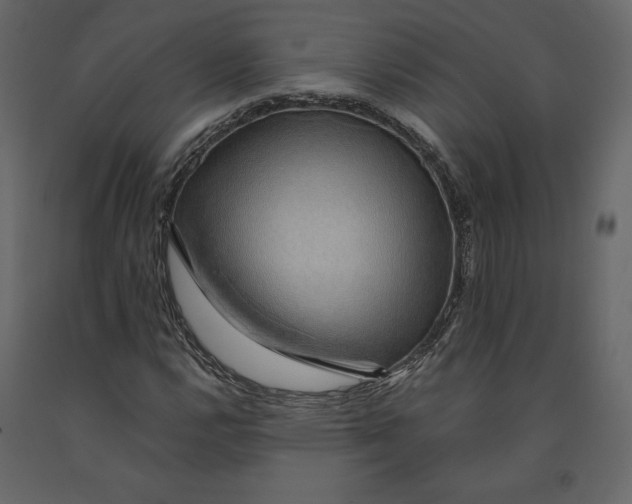 X0000090901112200708270938