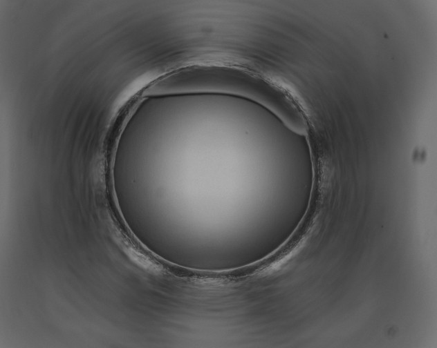 X0000090901114200708270938