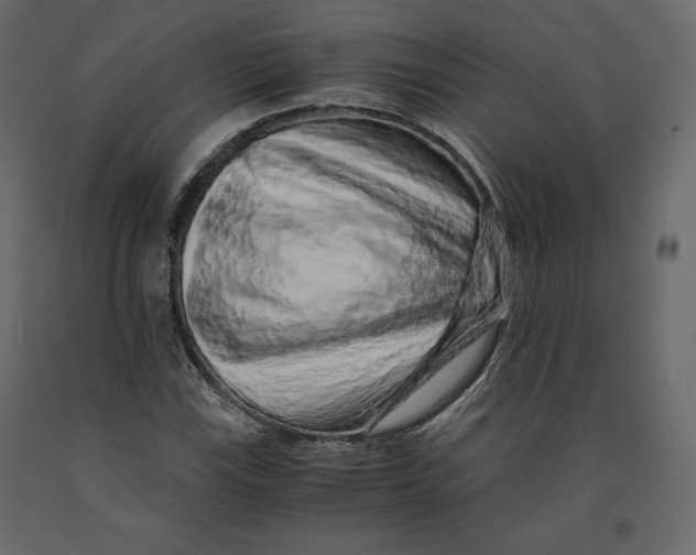 X0000090901115200708270938