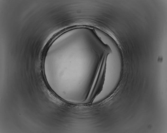 X0000090901116200708270938