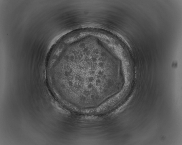 X0000090901117200708270938