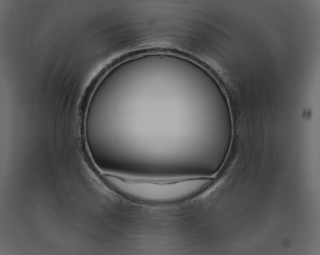 X0000090901118200708270938