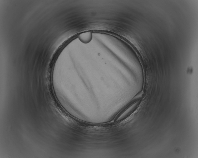 X0000090901119200708270938