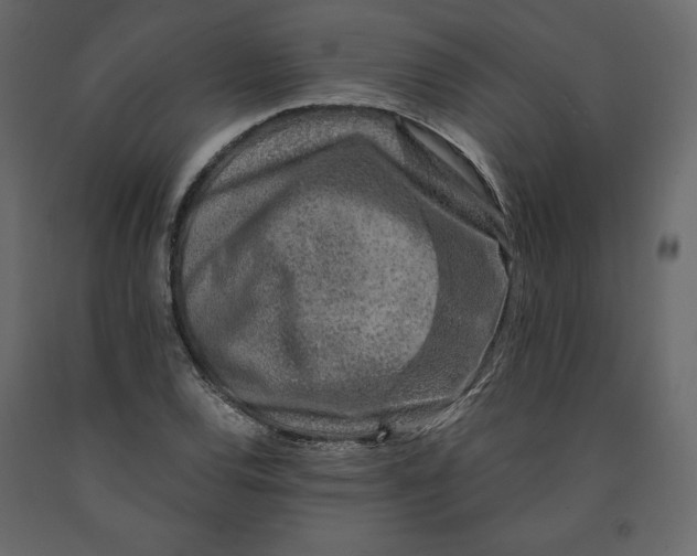 X0000090901120200708270938