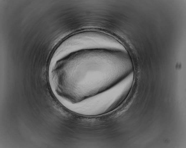 X0000090901121200708270938