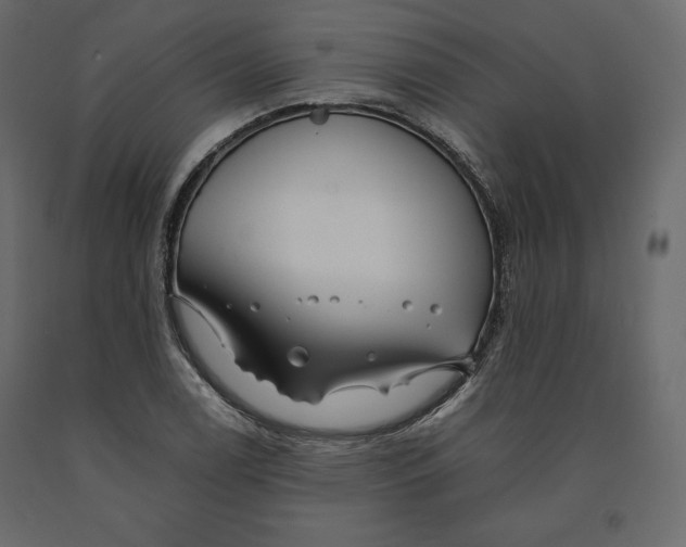 X0000090901122200708270938