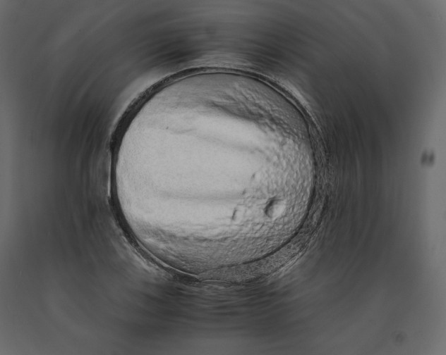 X0000090901123200708270938