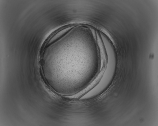 X0000090901124200708270938