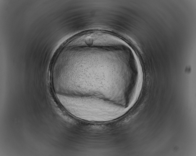 X0000090901125200708270938