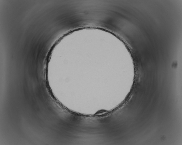 X0000090901126200708270938