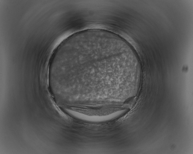 X0000090901127200708270938