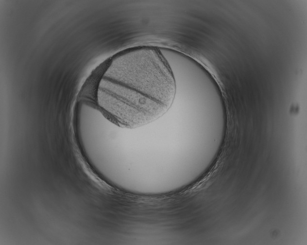 X0000090901128200708270938