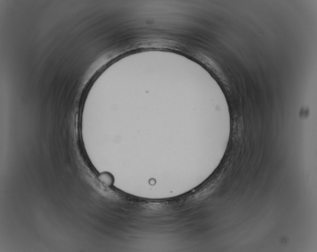 X0000090901130200708270938